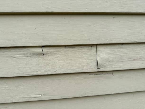 Best Demolition Debris Removal  in Elida, OH